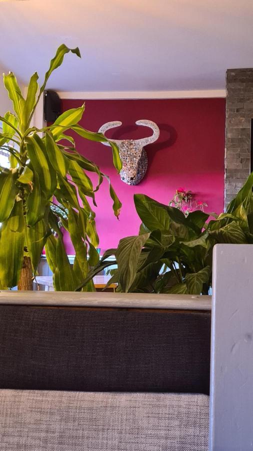 Y Branwen Restaurant & Rooms - Adult Only And Dog Friendly Harlech Exterior foto