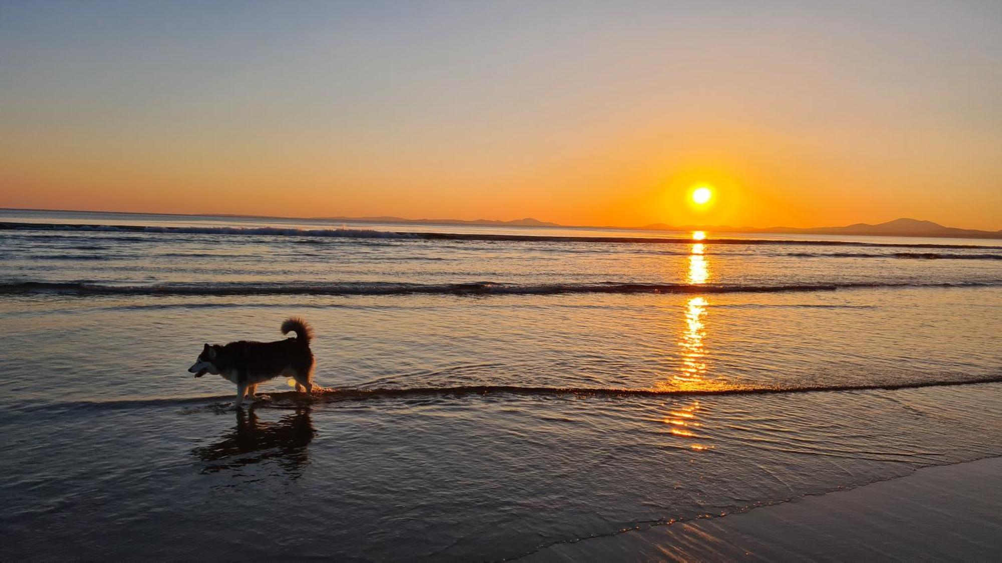 Y Branwen Restaurant & Rooms - Adult Only And Dog Friendly Harlech Exterior foto