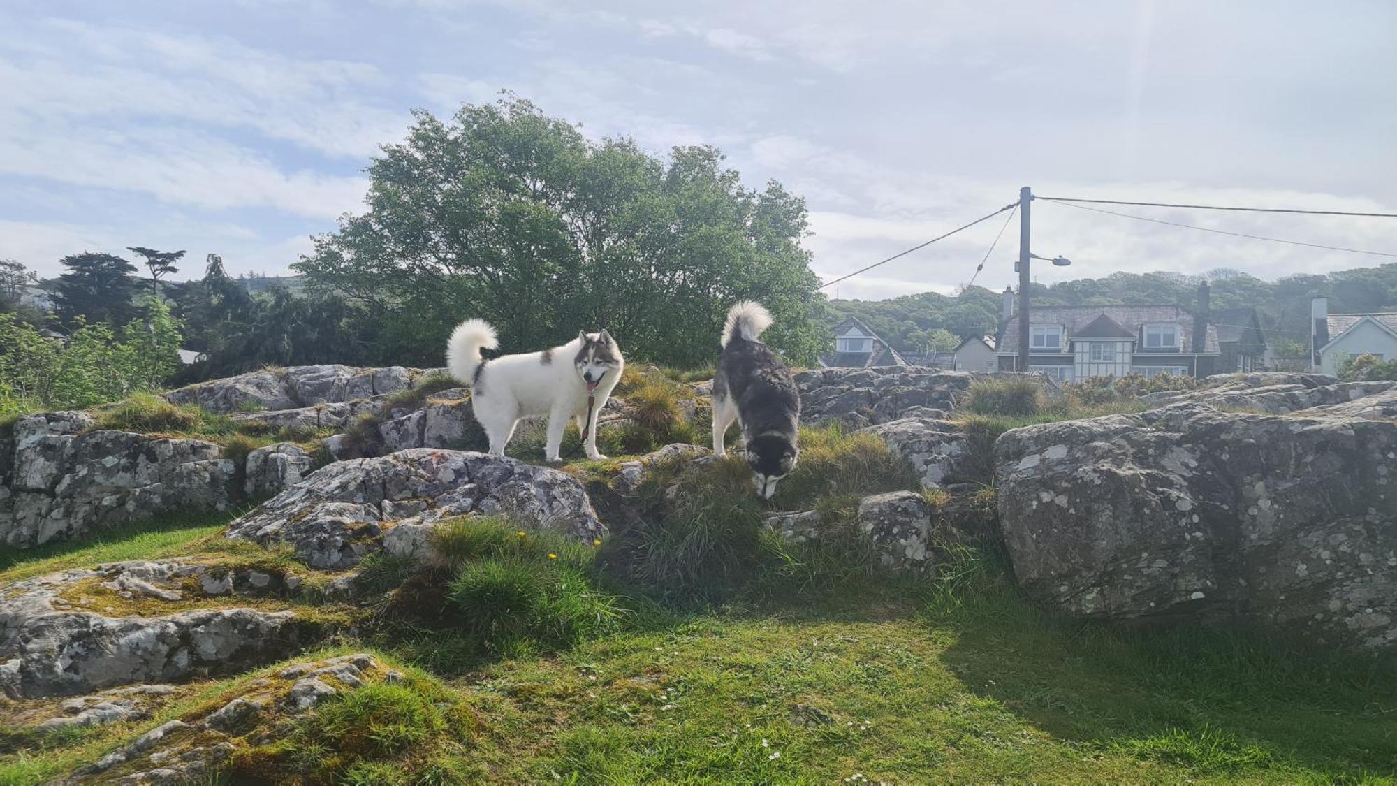 Y Branwen Restaurant & Rooms - Adult Only And Dog Friendly Harlech Exterior foto