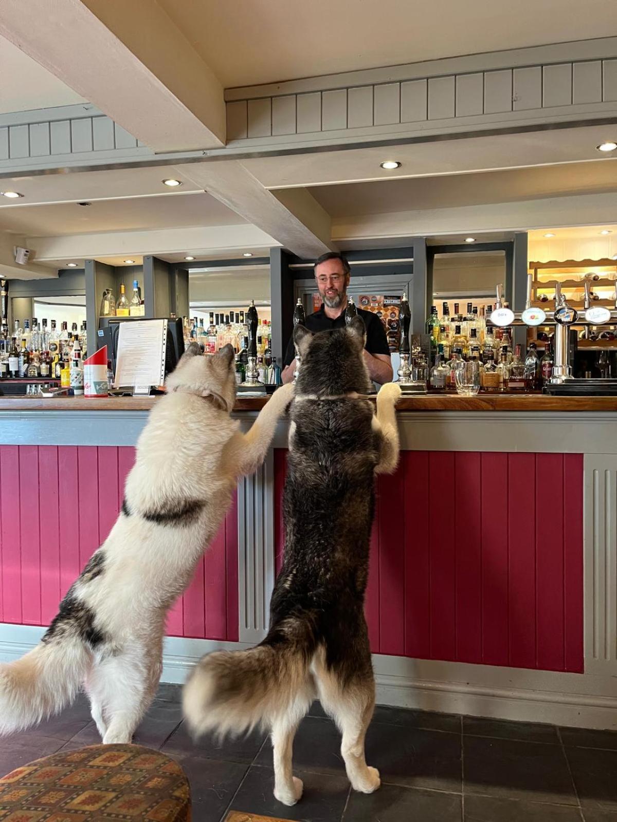 Y Branwen Restaurant & Rooms - Adult Only And Dog Friendly Harlech Exterior foto